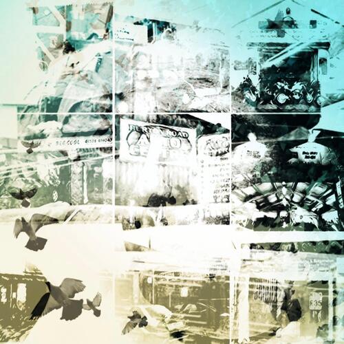 Ellison cover art