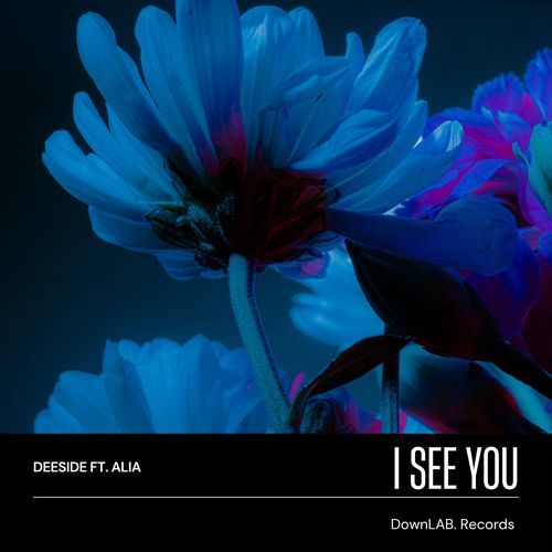I See You (feat. Alia)