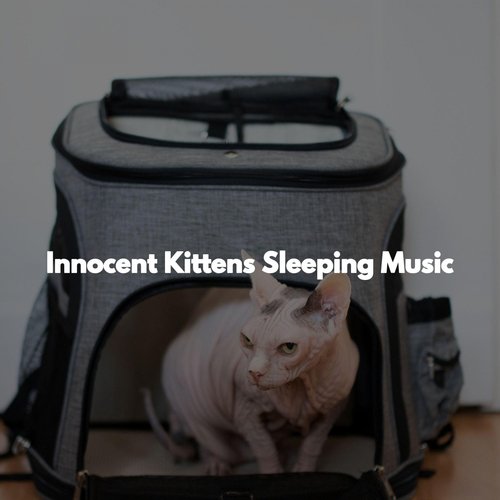 Innocent Kittens Sleeping Music