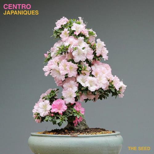 Japaniques (KraftSiK-519 Remix) cover art