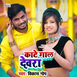 Kate Gaal Devra (Bhojpuri Song)