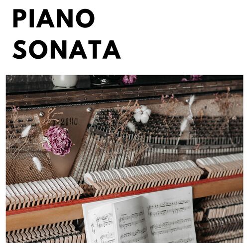 Sonata No. 10 In G ,Op. 96 : I. Allegro moderato