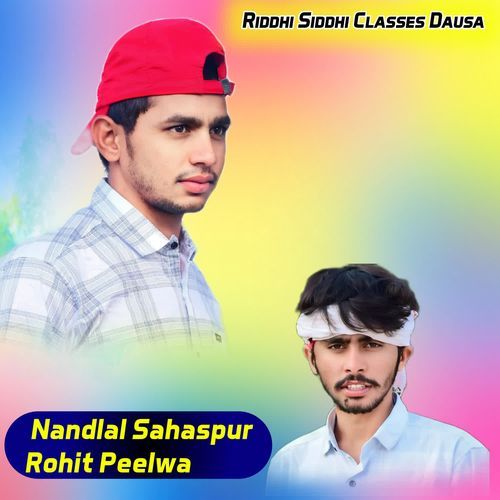 Riddhi Siddhi Classes Dausa