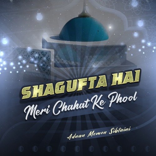 Shagufta Hai Meri Chahat Ke Phool