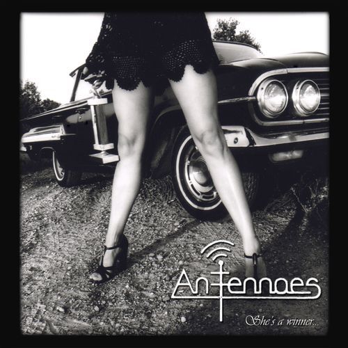 Appaloosa cover art