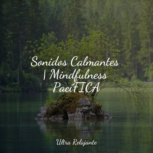 Sonidos Calmantes | Mindfulness PacíFICA_poster_image