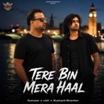 Tere Bin Mera Haal