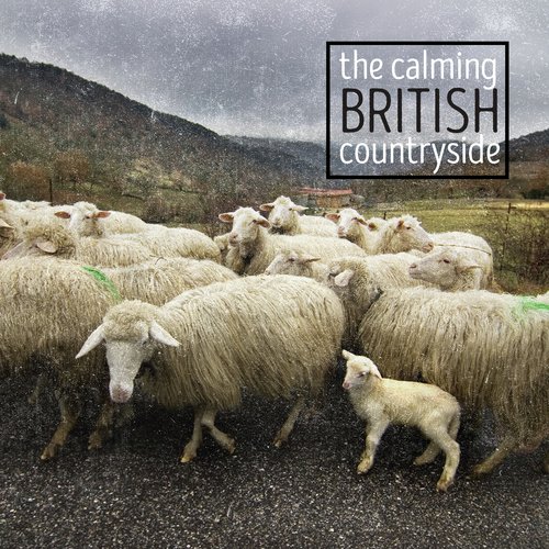 The Calming British Countryside