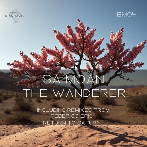 The Wanderer (Return to Saturn Remix) cover art