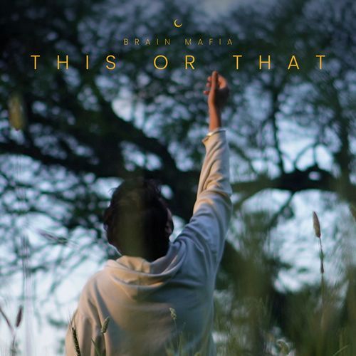 This or That