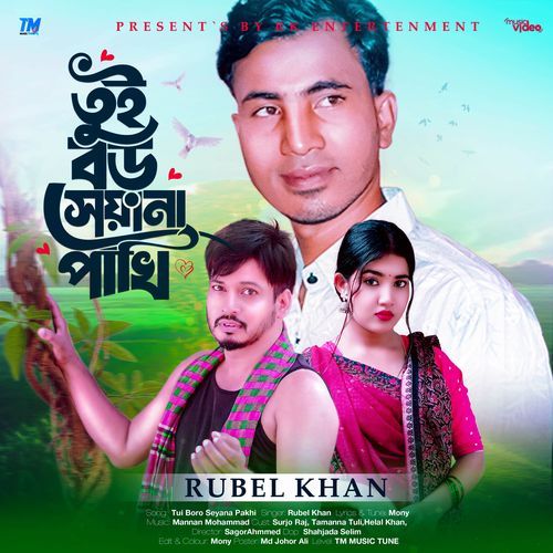 Tui Boro Seyana Pakhi