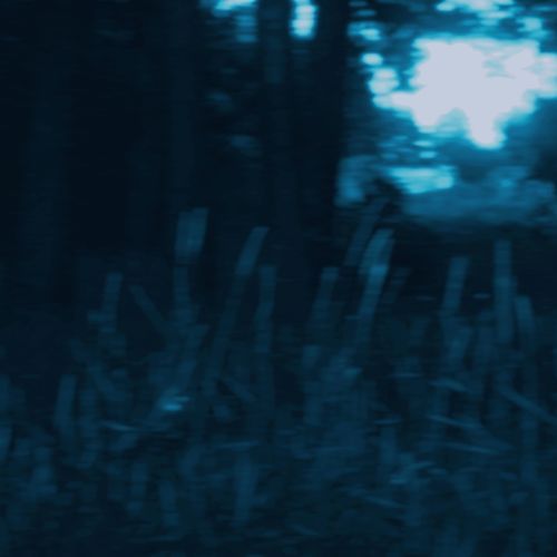 falling rays (speed up)