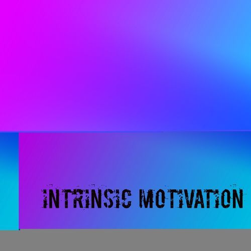 intrinsic motivation