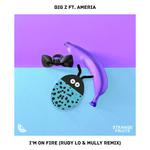 I'm On Fire (feat. Ameria) [Ruby LO & Mully Remix]