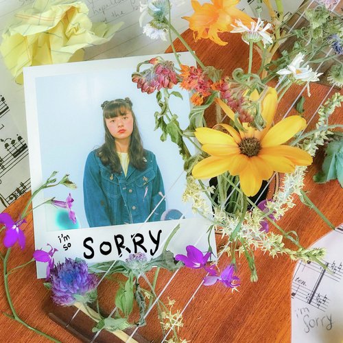 the sorry song_poster_image