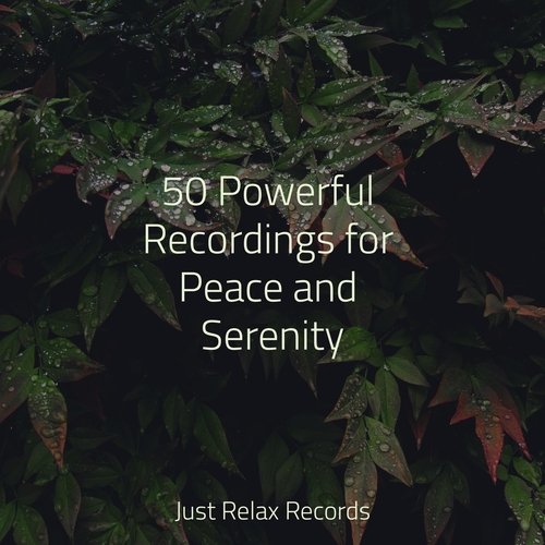 50 Powerful Recordings for Peace and Serenity