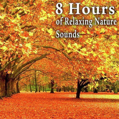 8 Hours of Relaxing Nature Sounds