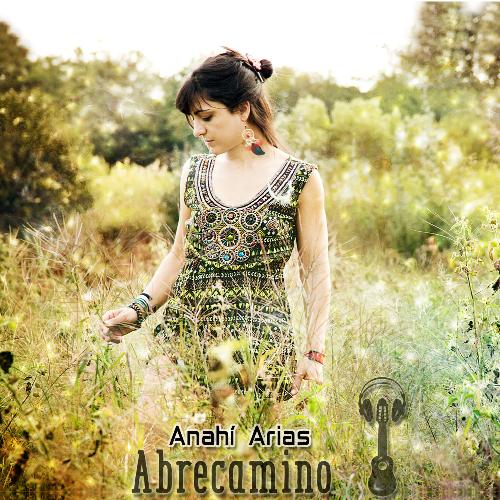 Abrecamino_poster_image