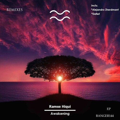 Awakening (Defiet Remix) cover art