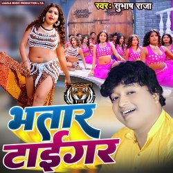 BHATAR TIGER-MSNYVU1qAXI