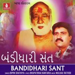 Bhakto Sau Bhavethi Ave Re