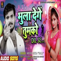 Bhula Denge Tumko Dil Se