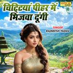 Chitiyan Peehar Me Bhijva Dungi