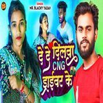 De De Dilawa CNG Driver Ke