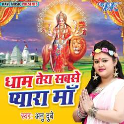 Dhaam Tera Sabse Pyra Maa