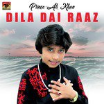 Dila Dai Raaz