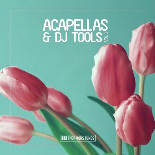 Enormous Tunes - Acapellas & DJ Tools, Vol. 1