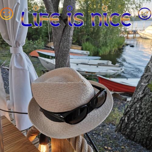 Life is nice cover art