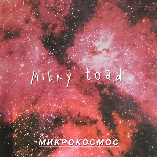 Microcosmos, Pt. 13 cover art