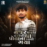 Najar Parka Par Hati Gha Potani Aapi Gaya