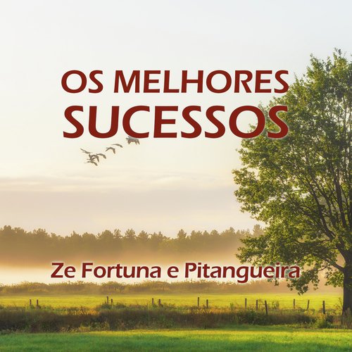 Os Melhores Sucessos
