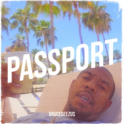 Passport cover art