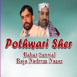 Pothwari Sher-BxE8dz1of0k