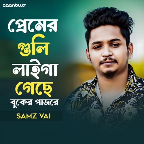 Premer Guli Laiga Gece Buker Pajore cover art