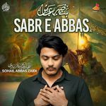 Sabr E Abbas