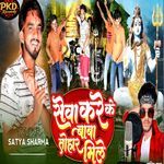 Sewa Kareke Baba Tohar Mile