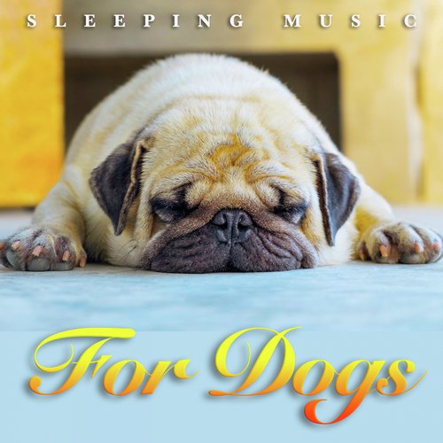 Sleeping Music For Dogs