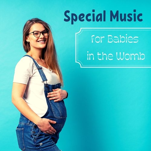 Special Music for Babies in the Womb_poster_image