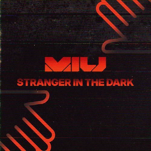 Stranger in the Dark