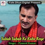 Tu Hai Ek Musafir artwork