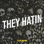They Hatin