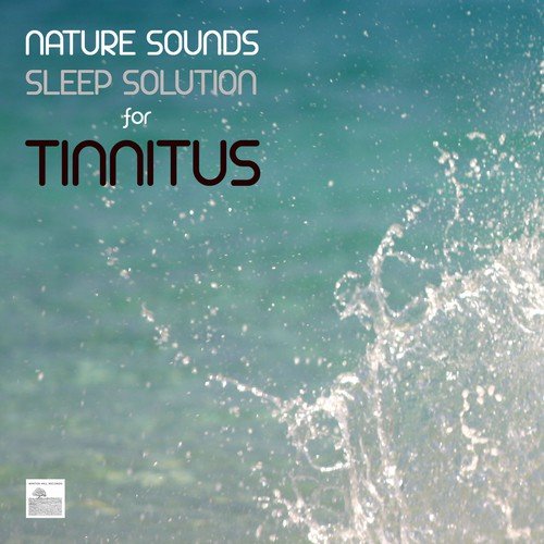 Calming River Stream - Nature Sounds Tranquil Soundscapes
