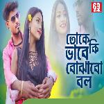 Toke Ki Bhabe Bojhabo Bol