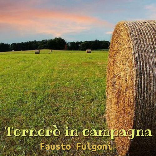 Tornerò in campagna_poster_image