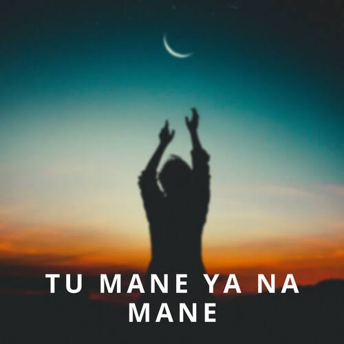 Tu Mane Ya Na Mane_poster_image