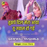 Tujhpe Dil Mera Aya (Qawwali)